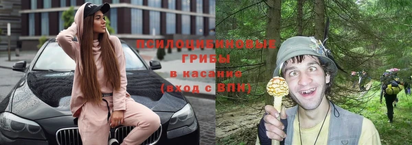 гидра Дмитриев