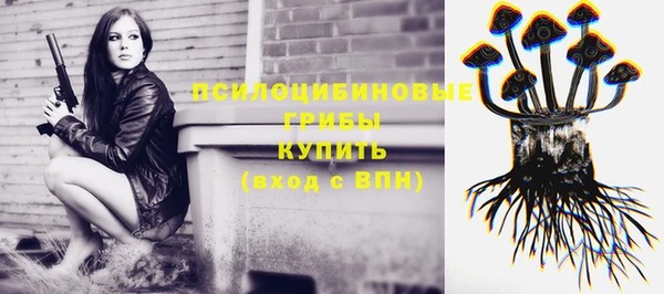 гидра Дмитриев