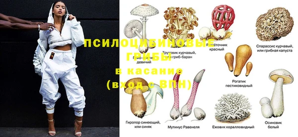 герыч Дмитровск