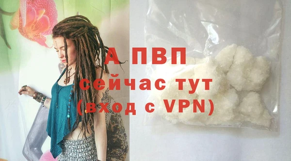 гидра Дмитриев